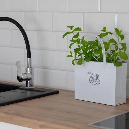 Kropli Baltyku By Renters